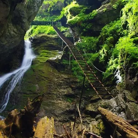 Adriana * Stara Lesna